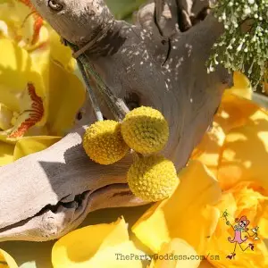 My Weekly Roundup of Event Photos and Inspiration - Week 1 - yellow image