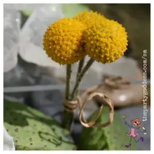 Event Photos and Inspiration