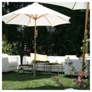 Event Photos and Inspiration