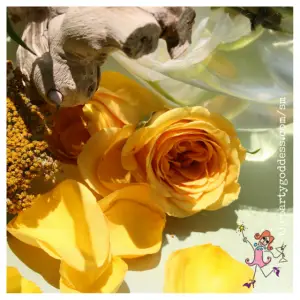 Event Photos and Inspiration