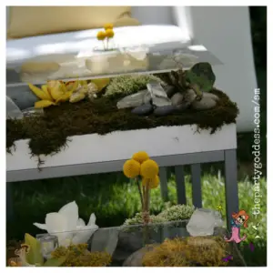 Event Photos and Inspiration
