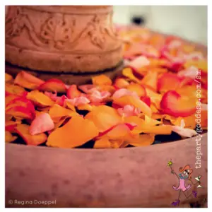 Event Photos and Inspiration