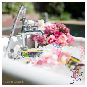 Coco's Birthday Party Images