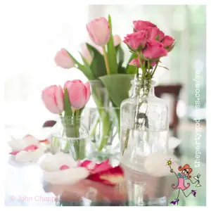 Coco's Birthday Party Images