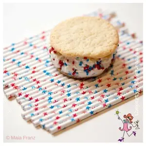 homemade ice cream sandwich image