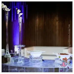 fire and ice event image 6