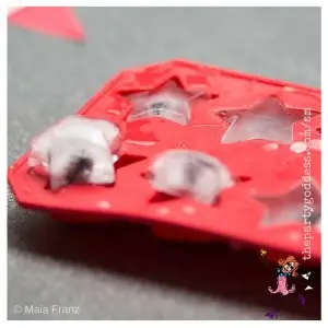 star-shaped ice cubes image