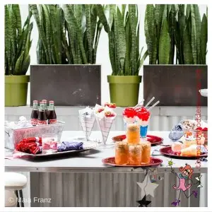 patriotic event image 5