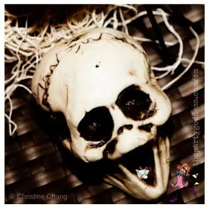 Halloween skull image