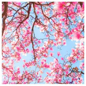 8 Spring Wedding Images-floral image