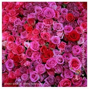 8 Spring Wedding Images-roses image