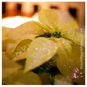 10 Merry & Bright Holiday Party Ideas-poinsetta image