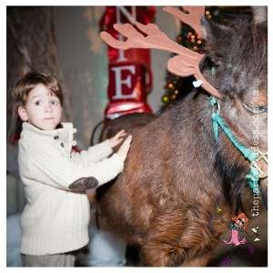 10 Winter Wonderland Holiday Party Ideas-Stanley & reindeer image