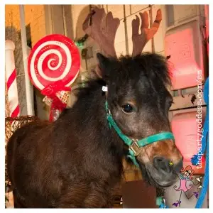 10 Merry & Bright Holiday Party Ideas-reindeer image