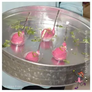 Angie Harmon's Girls Afternoon In!-cranberry & vodka image
