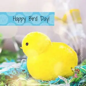 A Bird, A Hamburglar & A Happy Mother's Day! The Party Goddess, LA's best full service event planner, who makes any party ridiculously fabulous, connects random holidays plus a happy mother's day! Check it out at https://thepartygoddess.com/bird-hamburglar-happy-mothers-day @maiasphoto @foodiecrush #mothersday #cindodemayo - chick image