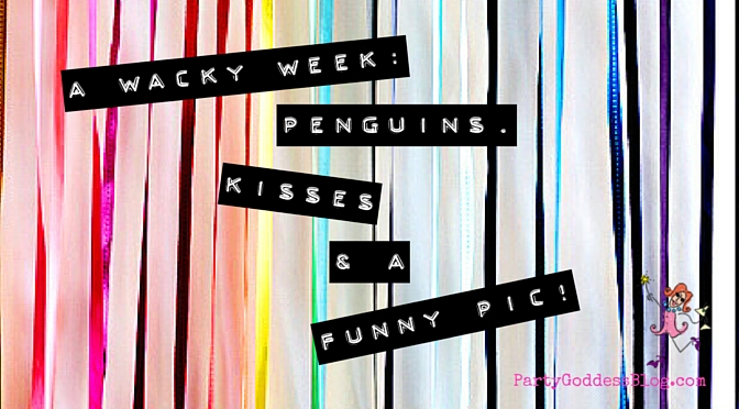 A Wacky Week: Penguins, Kisses & A Funny Pic! The Party Goddess, LA's best full service event planner, who makes any event ridiculously fabulous, shares a funny pic plus wacky holidays! Check it out at https://thepartygoddess.com/wacky-week-penguins-kisses-funny-pic @maiasphoto #mayday #may1 #funnypic #penguins - blog image