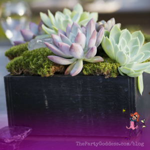 DIY Succulent Centerpieces: Be Your Own Florist! Plan ahead! The Party Goddess, LA's full service event planner, shares succulent centerpieces that you can make for a wedding or other special occasion! Check it out at https://thepartygoddess.com/diy-succulent-centerpieces-florist #maiasphoto - succulent centerpiece image