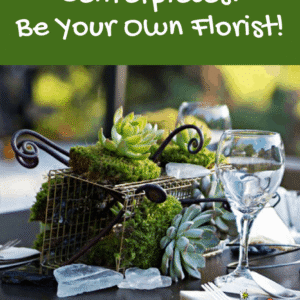 DIY Succulent Centerpieces Be Your Own Florist - Pinterest title image