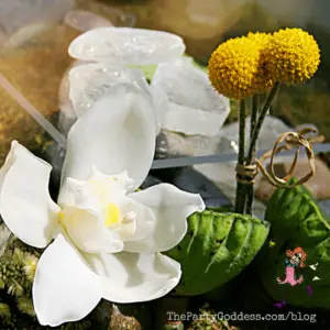 Be A Petal Pusher, It’s National Flower Day!