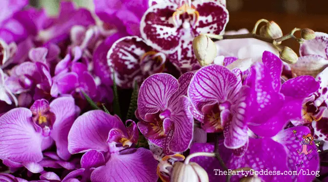Be A Petal Pusher, It’s National Flower Day!