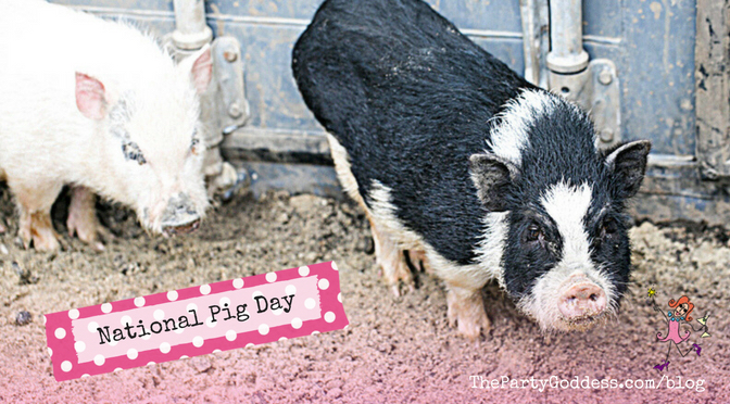 On National Pig Day Meet The Resident Piggies! The Party Goddess! LA’s best full-service event planner shares fun facts and trivia plus photos of her pregnant pig on National Pig Day! Check it out at https://thepartygoddess.com/national-pig-day #nationalpigday @thepartygoddess - blog image