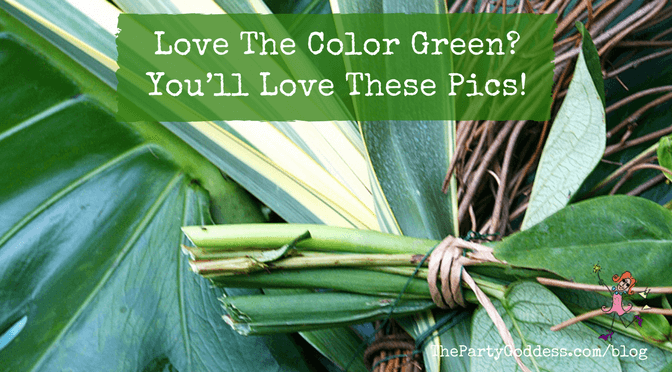 Love The Color Green? You’ll Love These Pics! | The Party Goddess!