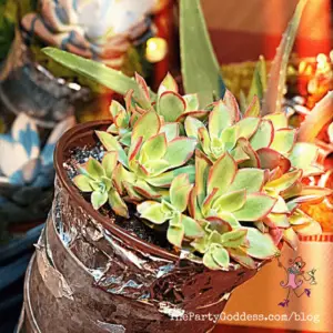 Love The Color Green? You’ll Love These Pics! | The Party Goddess!