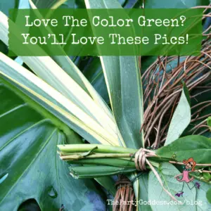 Love The Color Green? You’ll Love These Pics! | The Party Goddess!
