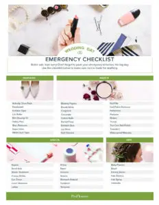 No Drama Here, Wedding Day Emergency Checklist