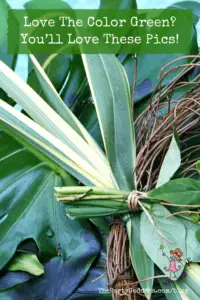 Love the Color Green? You’ll Love These Pics! - Pinterest title image