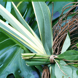 Love the Color Green? You’ll Love These Pics! - Pinterest title image