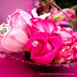Royal Princess Party: If The Tiara Fits…! | The Party Goddess!