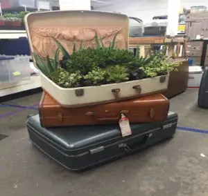 Throw A Green Get Together, It's Earth Day!