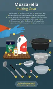 Homemade Mozzarella On Your Pizza? Yes, Please!