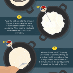 Homemade Mozzarella On Your Pizza? Yes, Please!