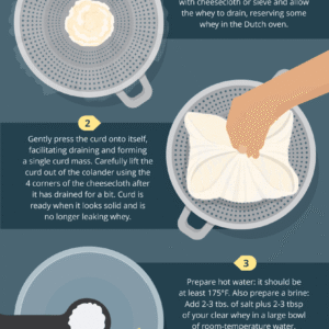 Homemade Mozzarella On Your Pizza? Yes, Please!