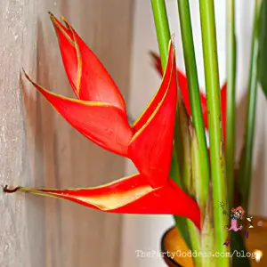 Sizzle! Can’t Get Enough Of The Color Red! | The Party Goddess!
