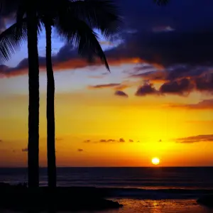 Aloha-Style Toast To The First Day Of Summer!