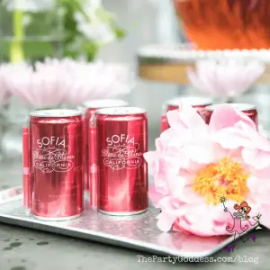 Chill Out With Sparkling Wine For The Summer!