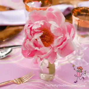 National Pink Day, It’s Not Just For Flamingos!
