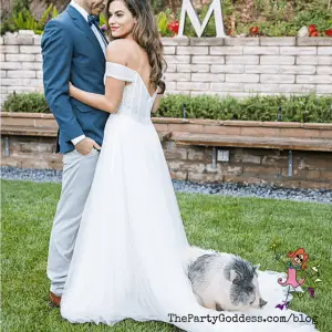 Pets In Weddings: Unleash The Love! | The Party Goddess!