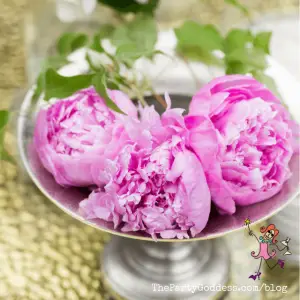 Wedding Flowers That Look Like A Million Bucks! | The Party Goddess!