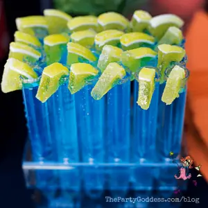 Drinks Are On the House! Easy Summer Cocktails! | The Party Goddess!