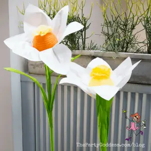 Paper Lanterns Create Light, Color, And Wonder!