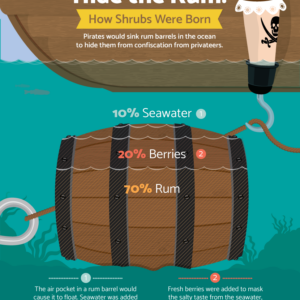 The Scandalous Origins of Shrub Cocktails!