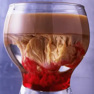 Cheers For Fears! Best Halloween Cocktails! | The Party Goddess!