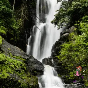 Exciting New Honeymoon Trends And Tips!