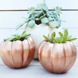 Toss The Knife! No Carve Pumpkin Ideas! | The Party Goddess!