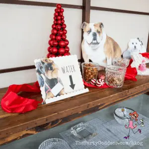 Step Away From The Plaid! Cool Christmas Ideas! | The Party Goddess!